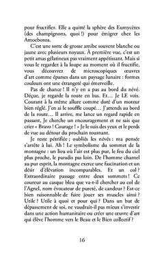 Ombres et resplendeurs