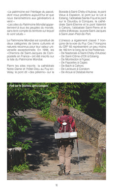 Compostelle Guide du Puy aux Pyrénées (3e ed)