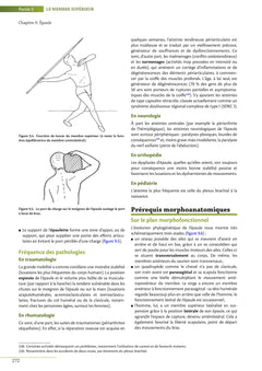 Biomécanique fonctionnelle