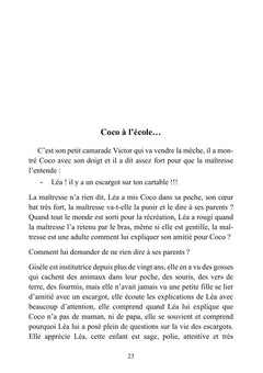 Le rêve de Coco