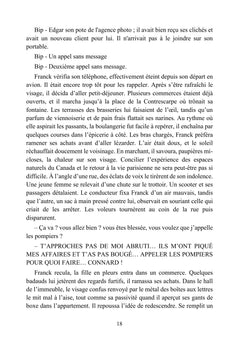 Papillon de cendre