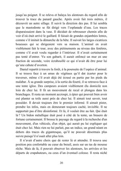 Le bois du sinoque