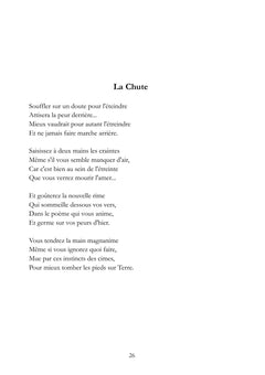 Rimes - Restes intimes de merveilleuses émotions soudaines