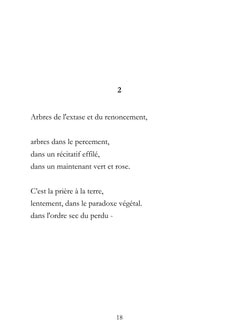 Dans une lenteur