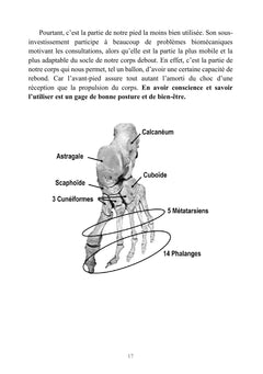 Le pied énergétique
