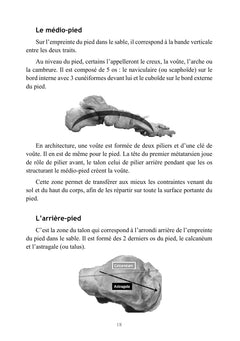 Le pied énergétique