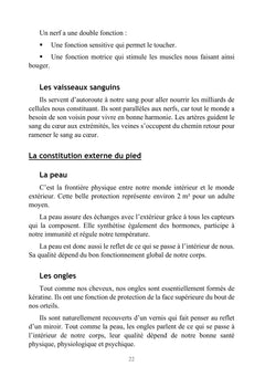 Le pied énergétique