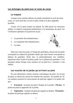 Le pied énergétique