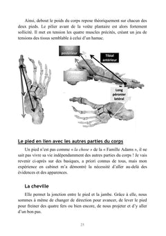 Le pied énergétique