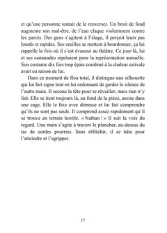 Le Mystère de Lana