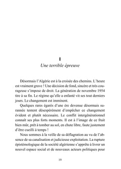Le Hirak : dans le flux de la marche