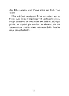 Marie et le médaillon enchanté