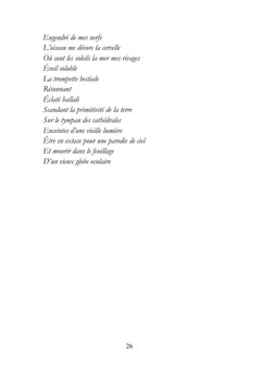 Le dernier chant de l'oiseau avant la nuit