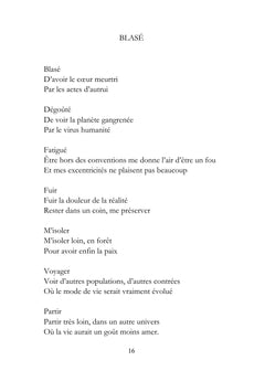 De Schopenhauer à Platon