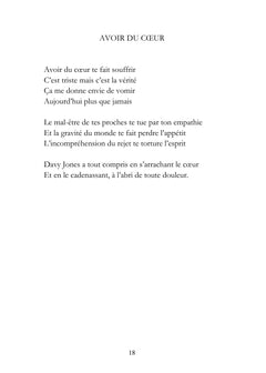 De Schopenhauer à Platon