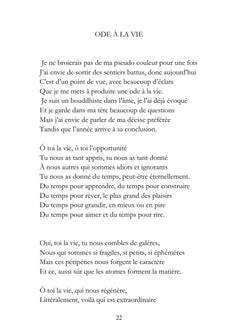 De Schopenhauer à Platon