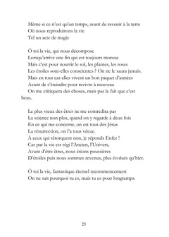 De Schopenhauer à Platon