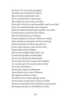 De Schopenhauer à Platon