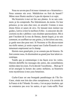Tristan Noir - Cache-Coeur, la ville du bizarre