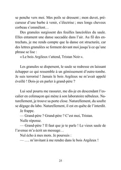 Tristan Noir - Cache-Coeur, la ville du bizarre