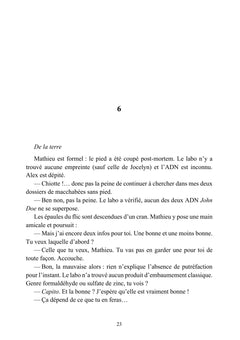 La coulée maudite - Une enquête d'Alex Brismontier