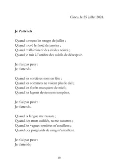 Le Carnet Roumain - Tome I : Levers de soleils et orages en soirée