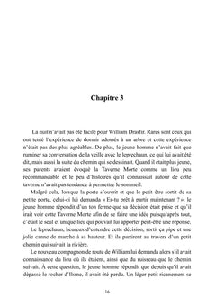 Le vengeur de Lys