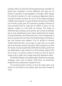 Nébuleuse