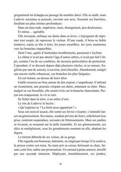 Les Cités lacérées
