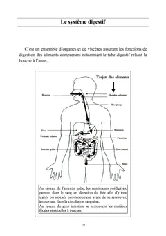 Alimentation et santé - L'essentiel pour soutenir la vie