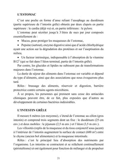 Alimentation et santé - L'essentiel pour soutenir la vie