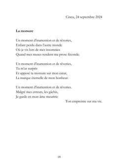 Le Carnet Roumain - Tome II : Zénith flamboyant et flocons soyeux