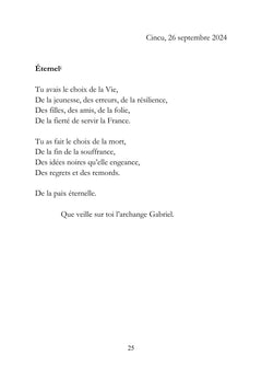 Le Carnet Roumain - Tome II : Zénith flamboyant et flocons soyeux