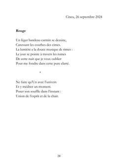 Le Carnet Roumain - Tome II : Zénith flamboyant et flocons soyeux