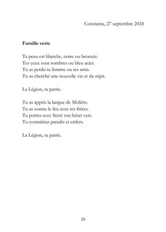Le Carnet Roumain - Tome II : Zénith flamboyant et flocons soyeux