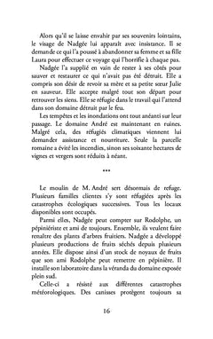 Les Homaphrodites - Tome II