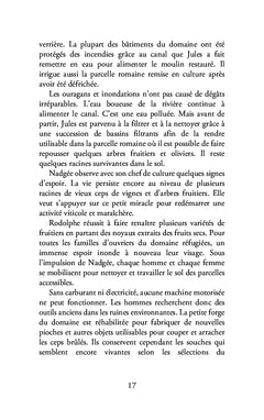 Les Homaphrodites - Tome II