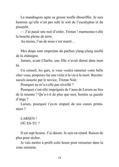 Tristan Noir - Cache-Coeur, la ville du bizarre - Livre 2