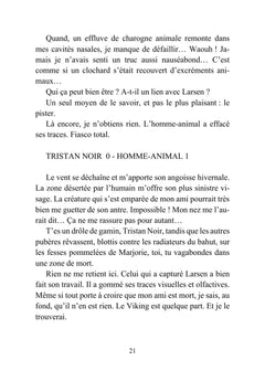 Tristan Noir - Cache-Coeur, la ville du bizarre - Livre 2