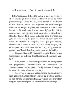 Vinterbyen - Bougies et Blizzard