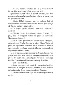 Vinterbyen - Bougies et Blizzard