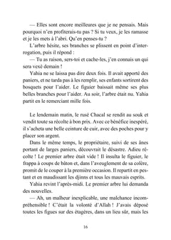 Les contes de Zakhum le menteur