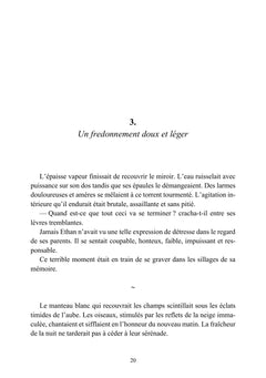 Les Larmes de Cristal - Tome I