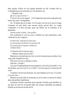 Les tribulations de Lily