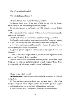 Les tribulations de Lily