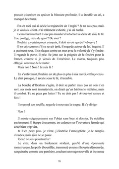 Chambre double - Tome II