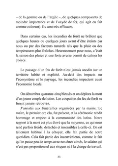 Les flammes du coeur - Mihao le dragon pompier