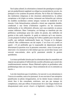 L'audace africaine - L'entreprise comme laboratoire d'un continent en action