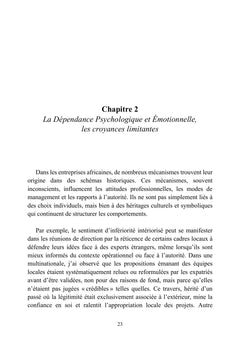 L'audace africaine - L'entreprise comme laboratoire d'un continent en action