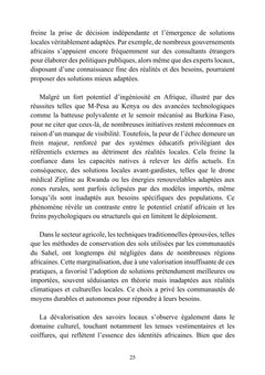 L'audace africaine - L'entreprise comme laboratoire d'un continent en action